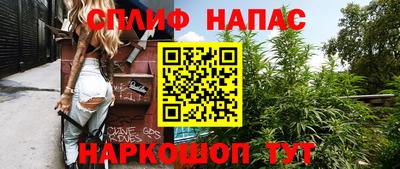хмурый Гай