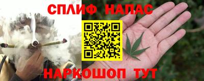 стаф Гагарин