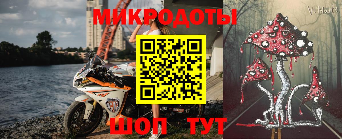 как найти закладки  Галлюциногенные грибы MAGIC MUSHROOMS  Вход с VPN  Галлюциногенные грибы мицелий  Буйнакск 
